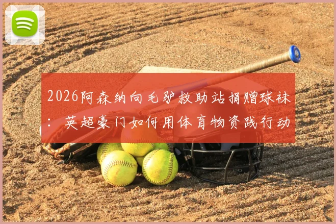 2026阿森纳向毛驴救助站捐赠球袜:英超豪门如何用体育物资践行动物保护公益